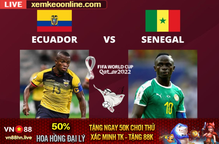 Ecuador vs Senegal 2